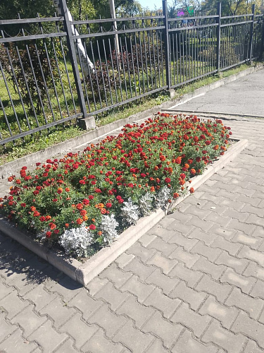 🏗️ Стомадент-ДВ: создаем комфорт и безопасность для пациентов!